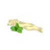 Angelica Edelweiss from Tatra Mountains