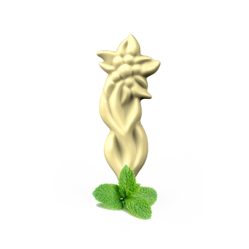 Angelica Edelweiss from Tatra Mountains